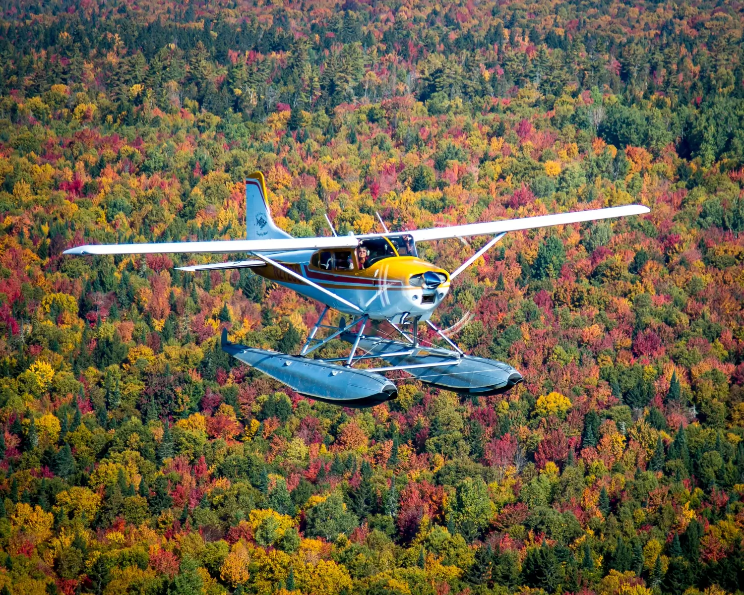 A water plane flying over a forest in autumn